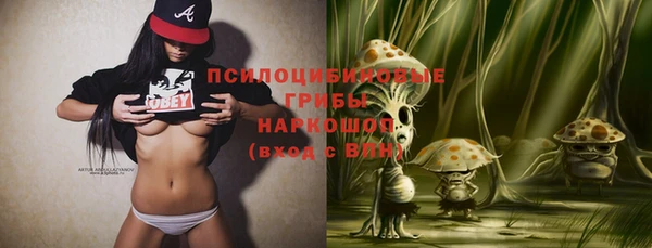 первитин Богородицк