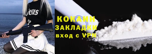 ПСИЛОЦИБИНОВЫЕ ГРИБЫ Богданович