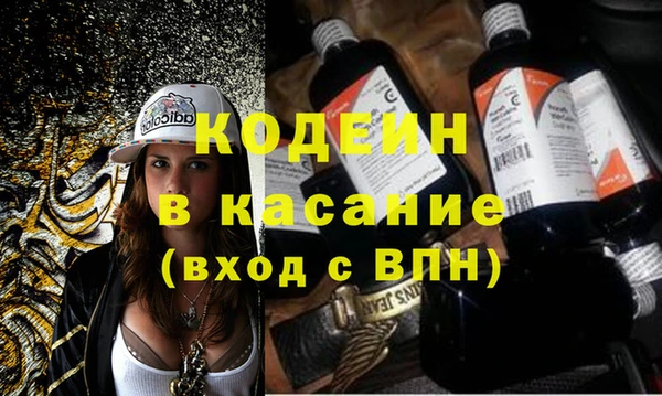 ПСИЛОЦИБИНОВЫЕ ГРИБЫ Богданович