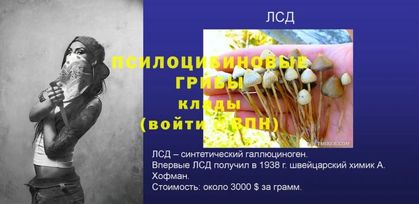 jwh Белокуриха