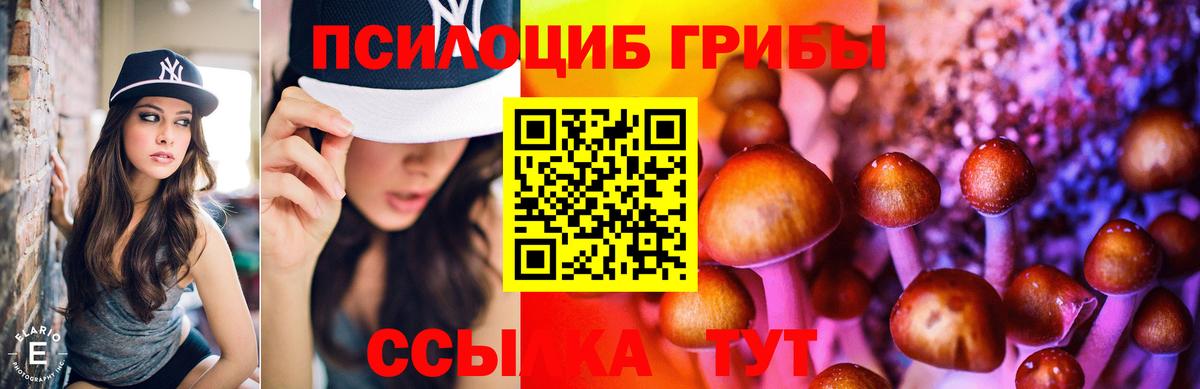 Псилоцибиновые грибы Cubensis Дальнегорск